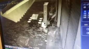 横栏最新爆料视频播放,精彩瞬间一网打尽 第2张 横栏最新爆料视频播放,精彩瞬间一网打尽 第2张